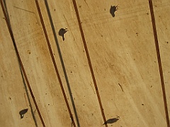 228 Wildlife Habitat Port Douglas